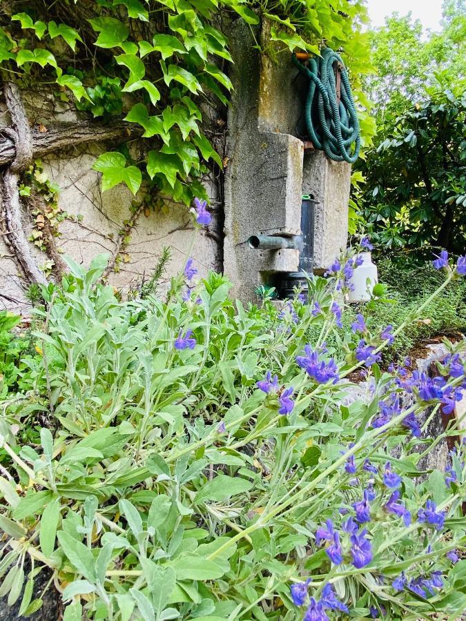 Les Chambres D'Hotes Du Bois Joli Semur-en-Auxois Zewnętrze zdjęcie